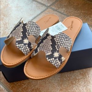 BRAND NEW! Reptile spring Sandals